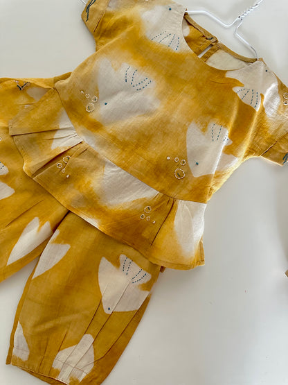 Gold fish bubble set